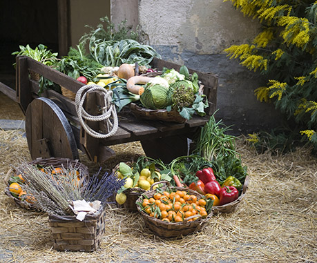 agriculture locale