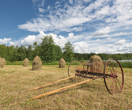 agriculture traditionnelle