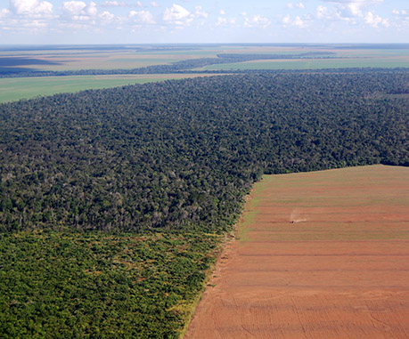 crise écologique