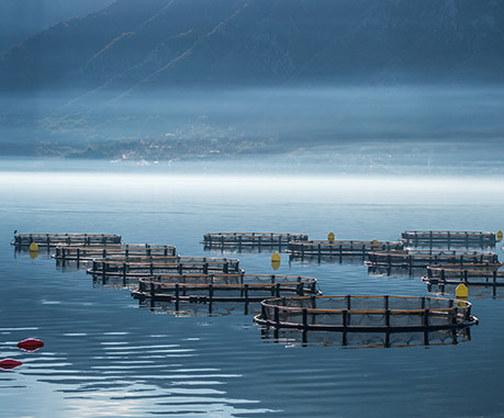 ferme marine