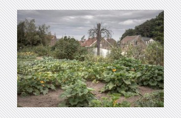 potager horticole collectif Vulpille