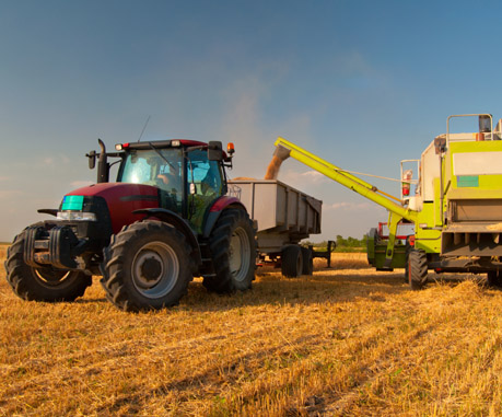 agriculture pétrole